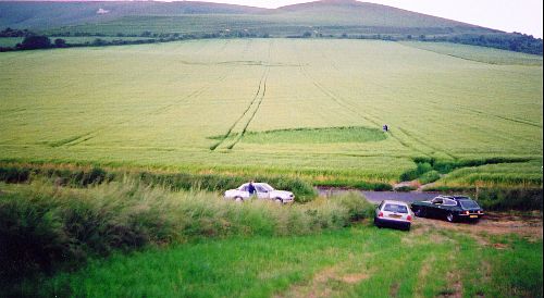 Alton Barnes, East Field, Eikel in 2000